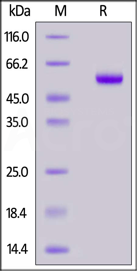 CD0-M82F3-sds