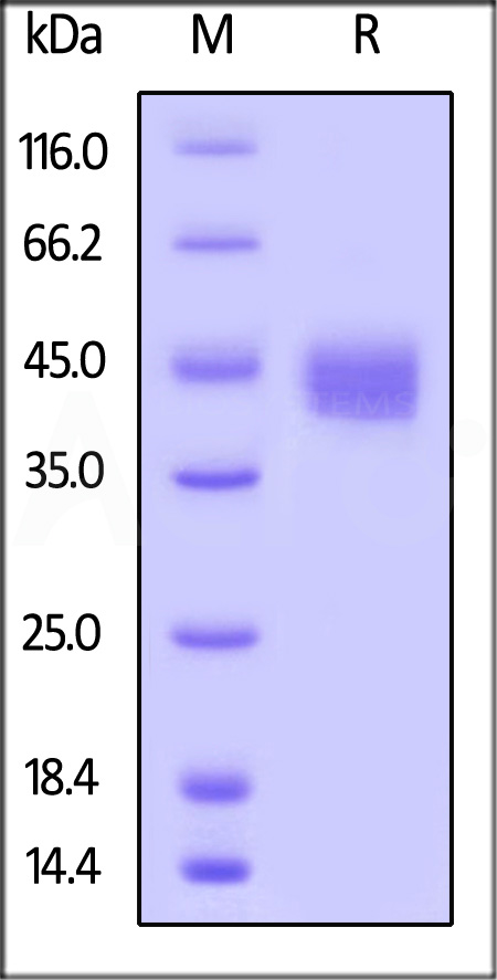 CD3-H82Q5-sds