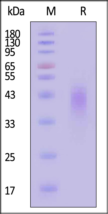 CD7-C82E3-sds