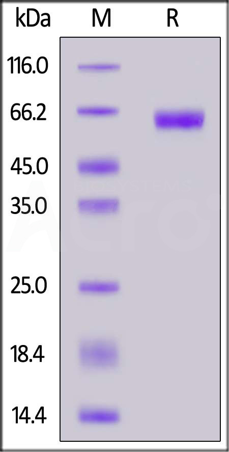 CD7-H82A3-sds