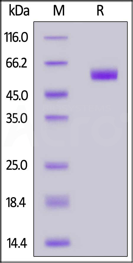 CD7-H82F3-sds