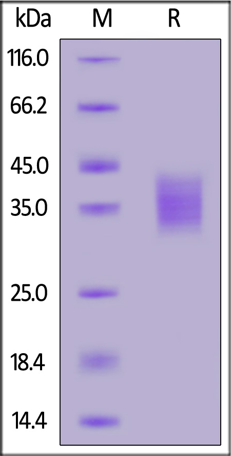 CD7-M82E8-sds