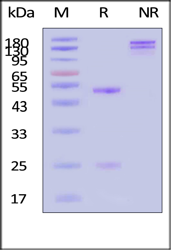 CDE-CH44G1-sds