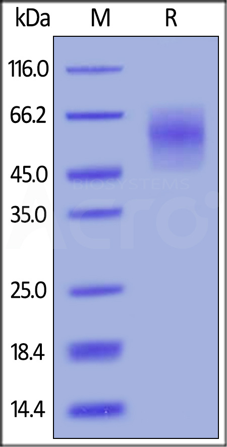 CE6-H82E7-sds