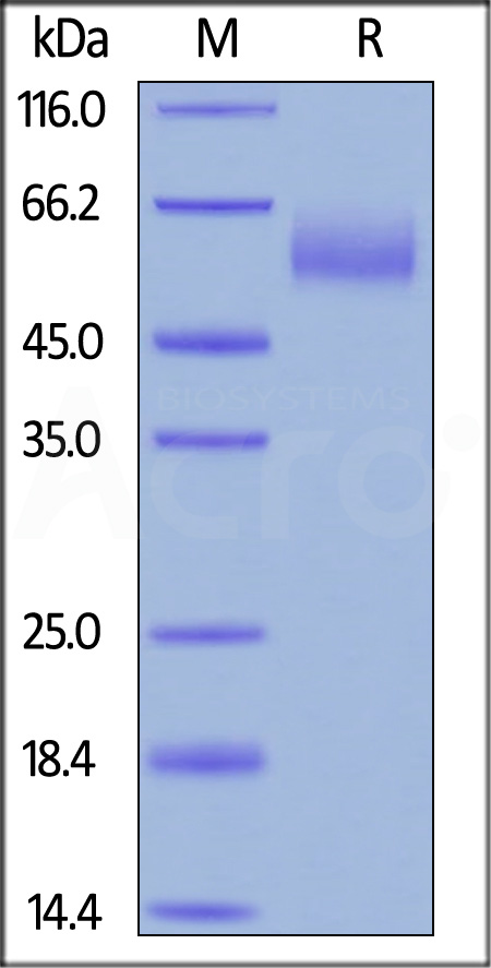 CE8-H82E9-sds