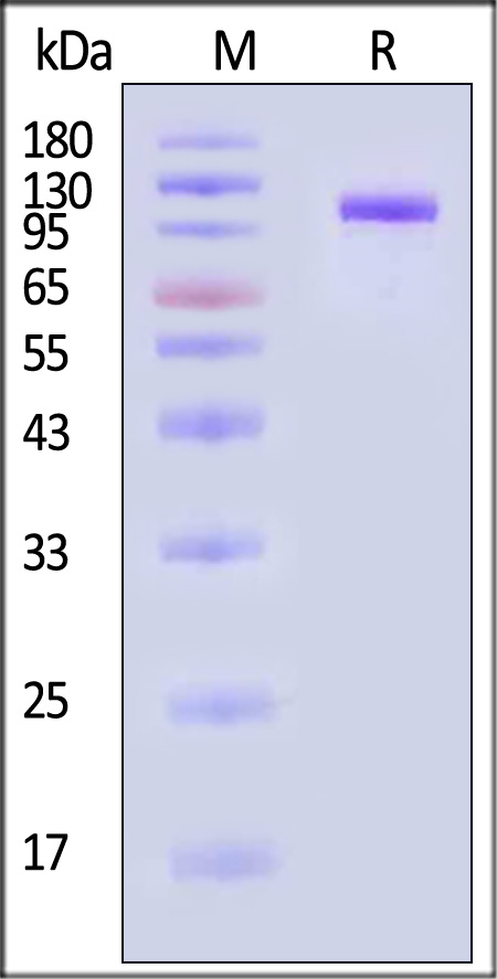 CO2-R82E3-sds