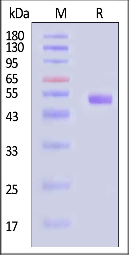 CT4-C82F3-sds