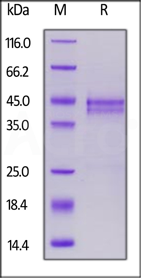 CTF-H82E6-sds