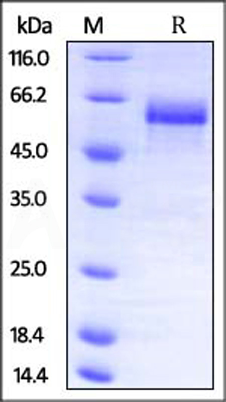 DK3-M5226-sds