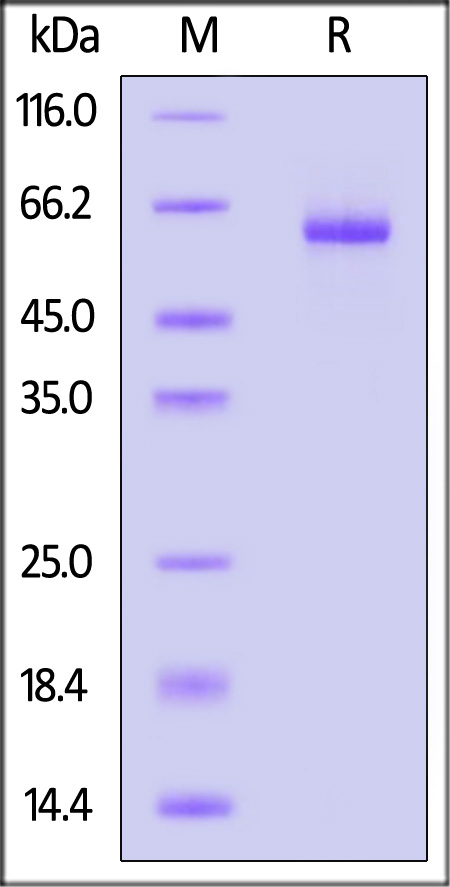 DL1-H82E5-sds