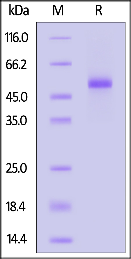 DL3-C82E9-sds