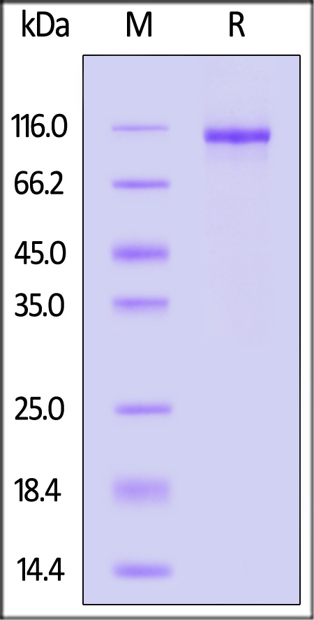 DL3-M52H9-sds