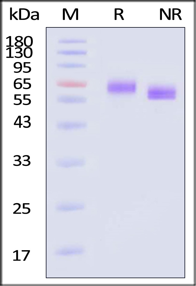 DL4-H82E6-sds