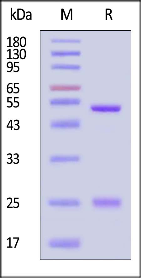 DNP-M487-sds