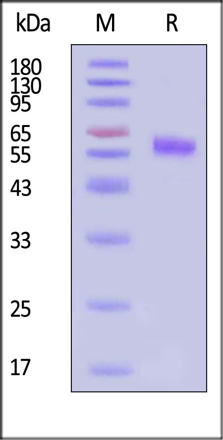 DR3-H82F3-sds