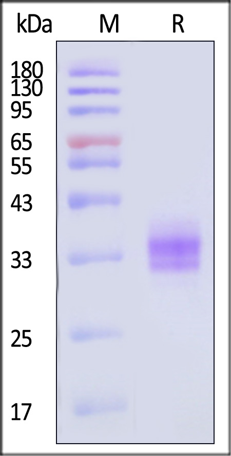 EPM-H5223-sds