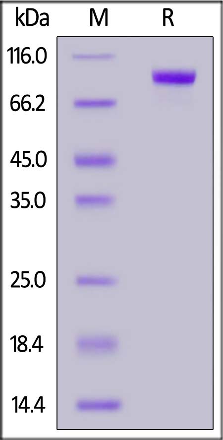 ER3-H82E6-sds