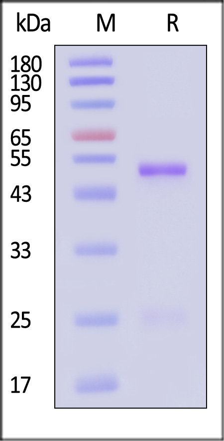 ERN-MY2063b-sds