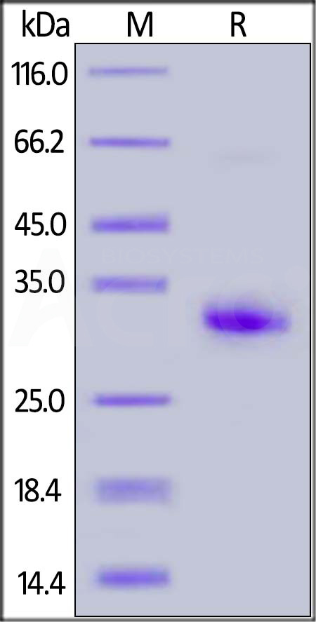 FCC-H5214-sds