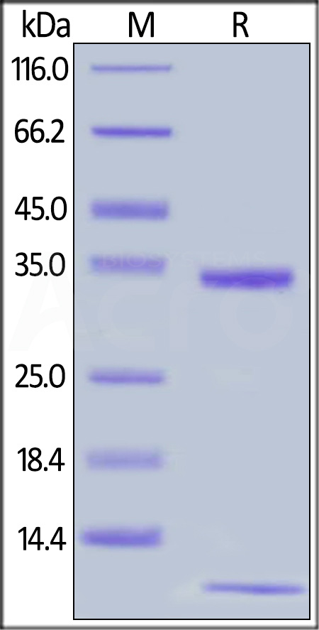 FCN-H52W7-sds