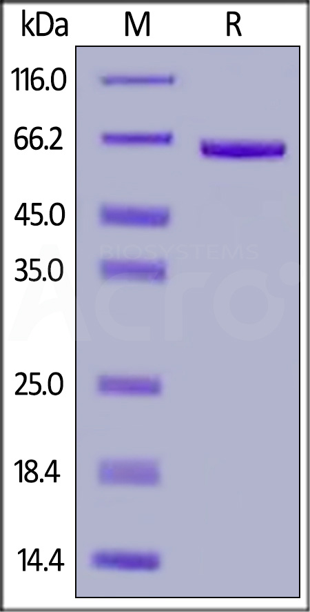 FG1-H82F4-sds