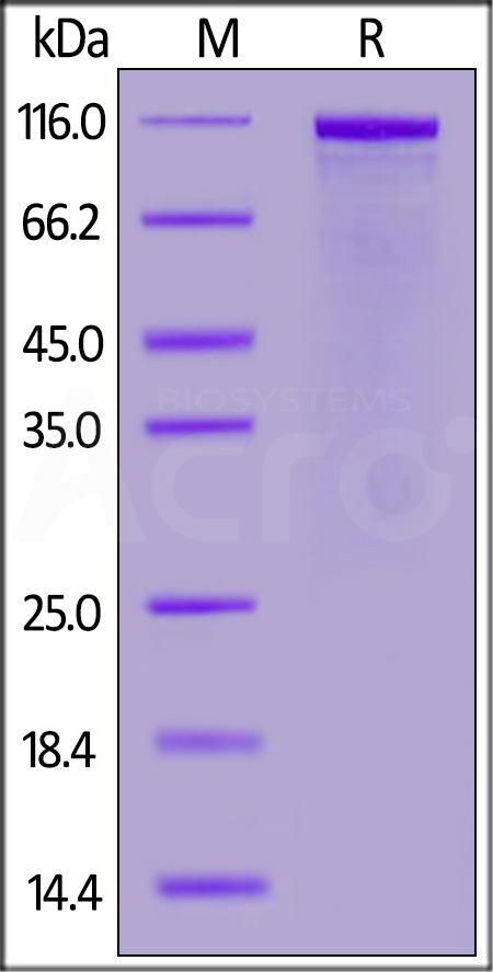 FG1-H82F6-sds