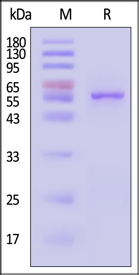 FIN-H5113-sds