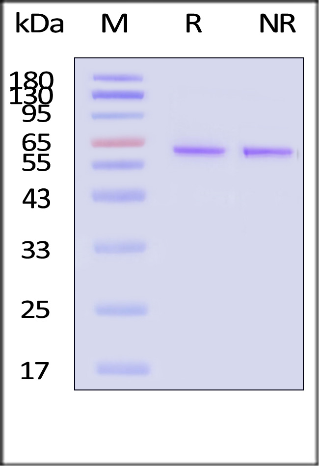 FIN-H5116-sds