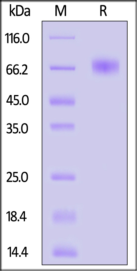 FIX-C52H9-sds