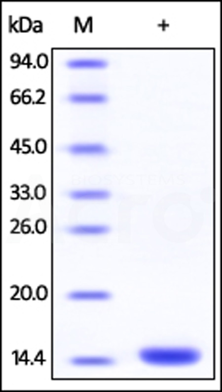 FKA-H5122-sds