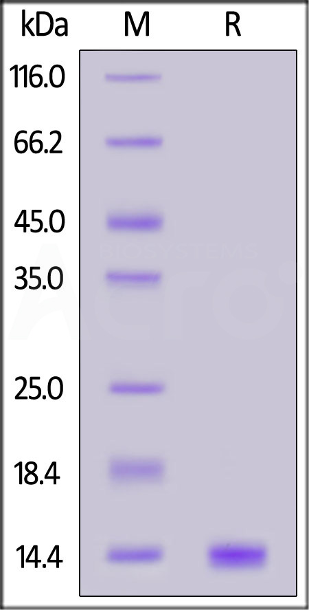 GA1-H4113-sds