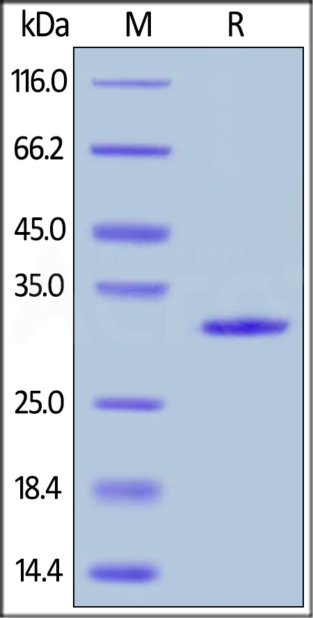 GA3-H5129-sds