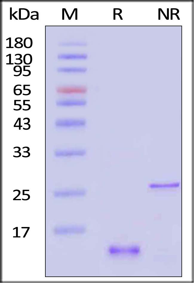 GD5-H5149-sds