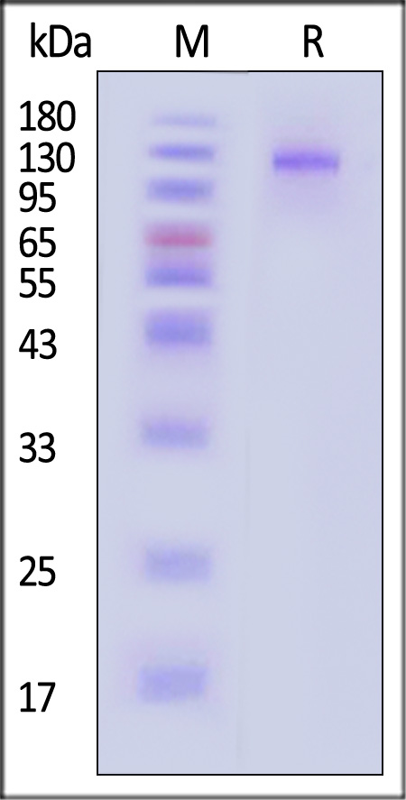 GHL-V5283-sds