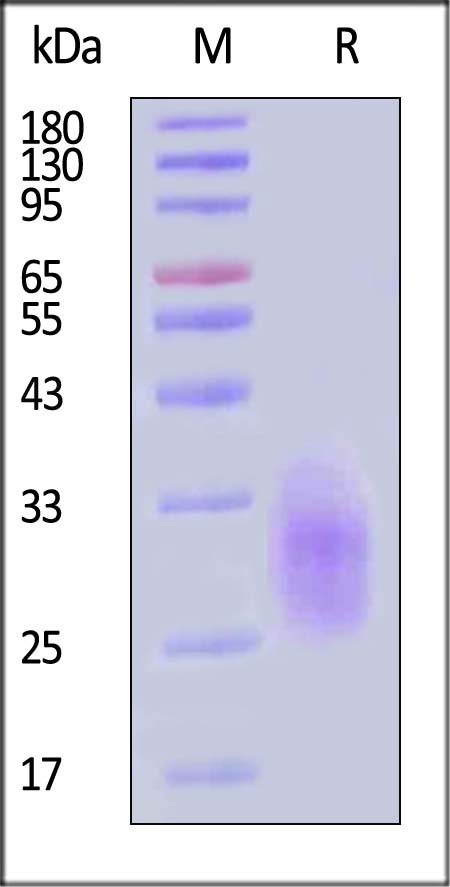 GIR-M52H3-sds