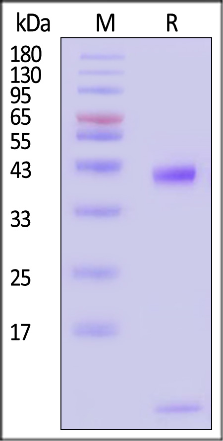 HL2-H82E3-sds