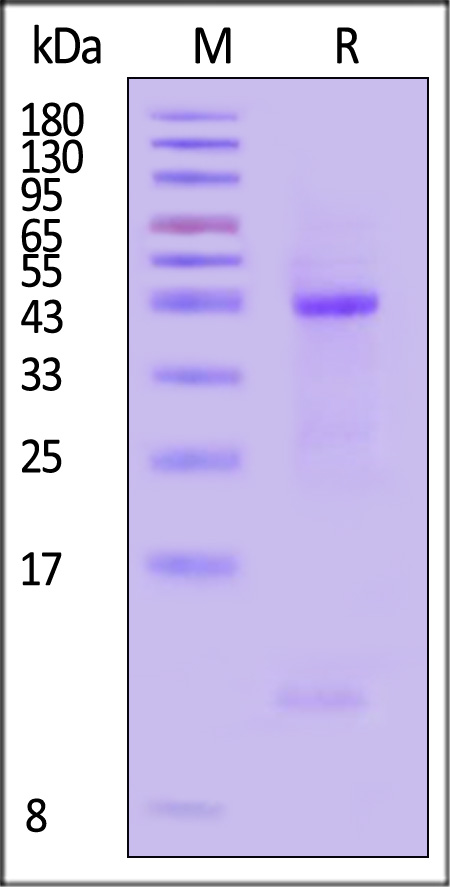 HLC-H82E3-sds