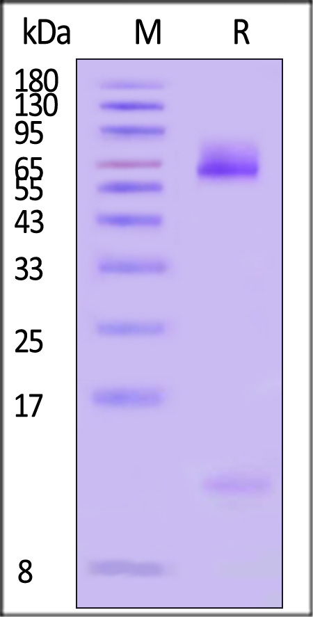 HLD-HA2H4-sds