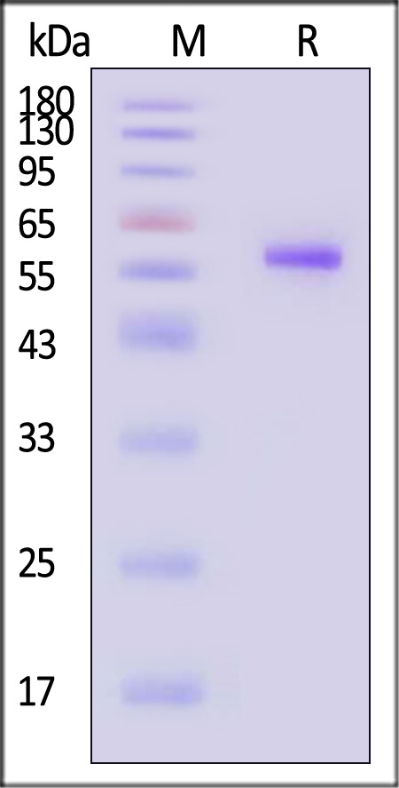 HLE-H82E8-sds