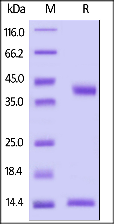 HLG-H52E9-sds