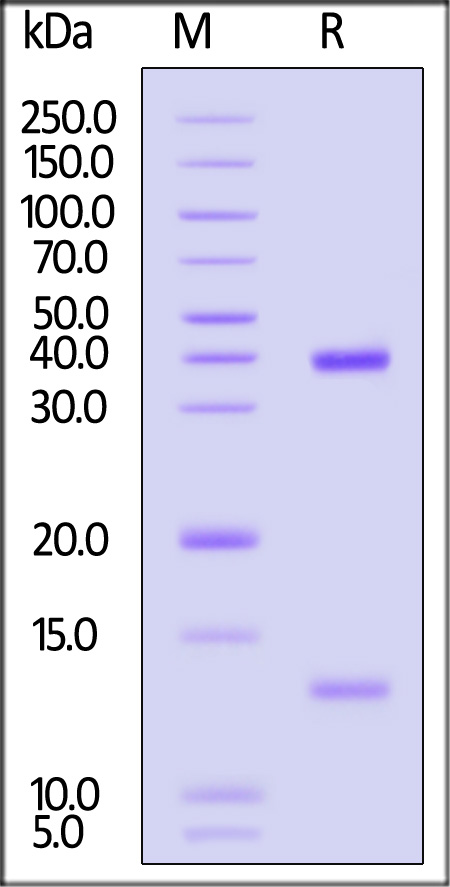 HLG-H82E4-sds