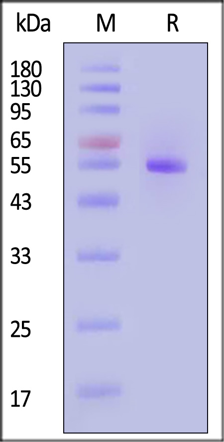 HLG-H82E9-sds