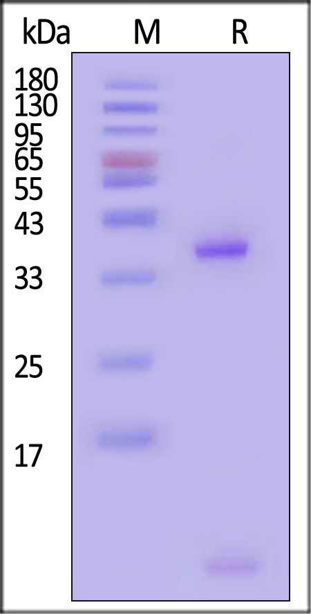 HLM-H52E4-sds