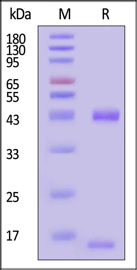 HLM-H52H3-sds