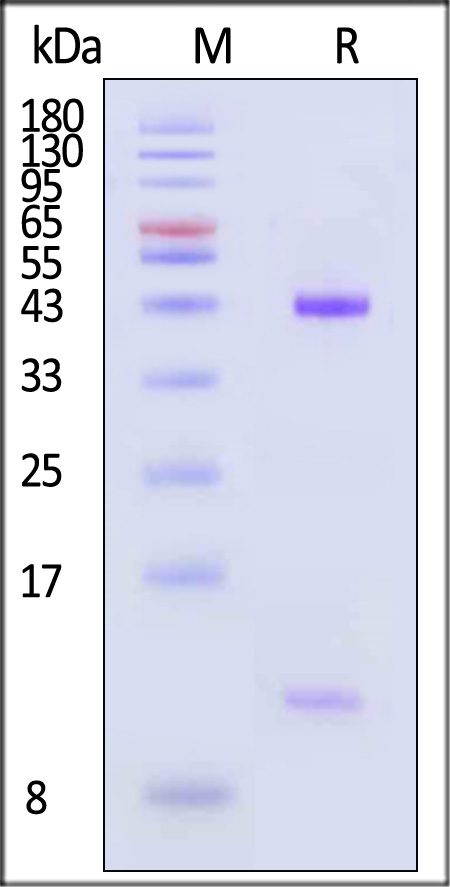 HLM-H82E1-sds