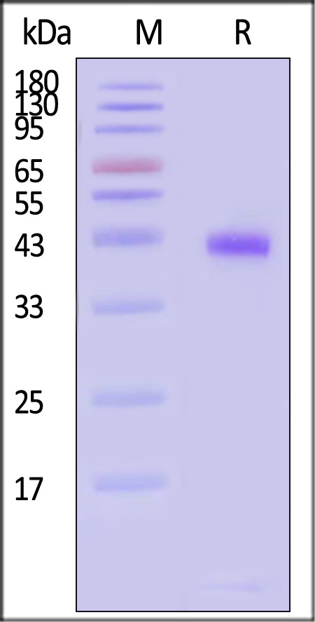 HLM-H82Ed-sds