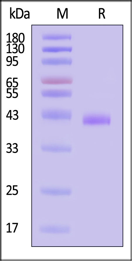 HLM-H82Eh-sds