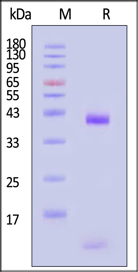 HLN-H82E5-sds