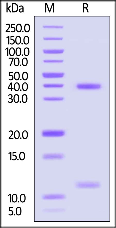 HLP-H82E4-sds