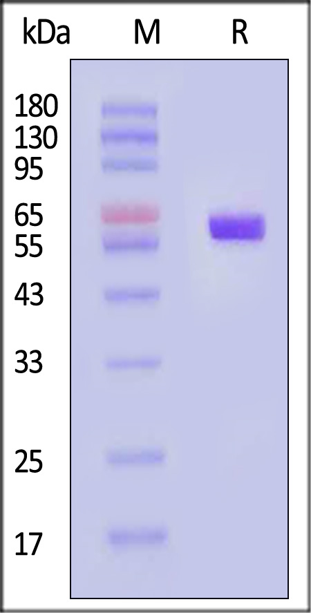 HLP-H82Ef-sds